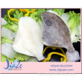 Gefrorene Meeresfrüchte John Dory Filets mit Haut